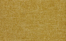 PO18-yellow.jpg